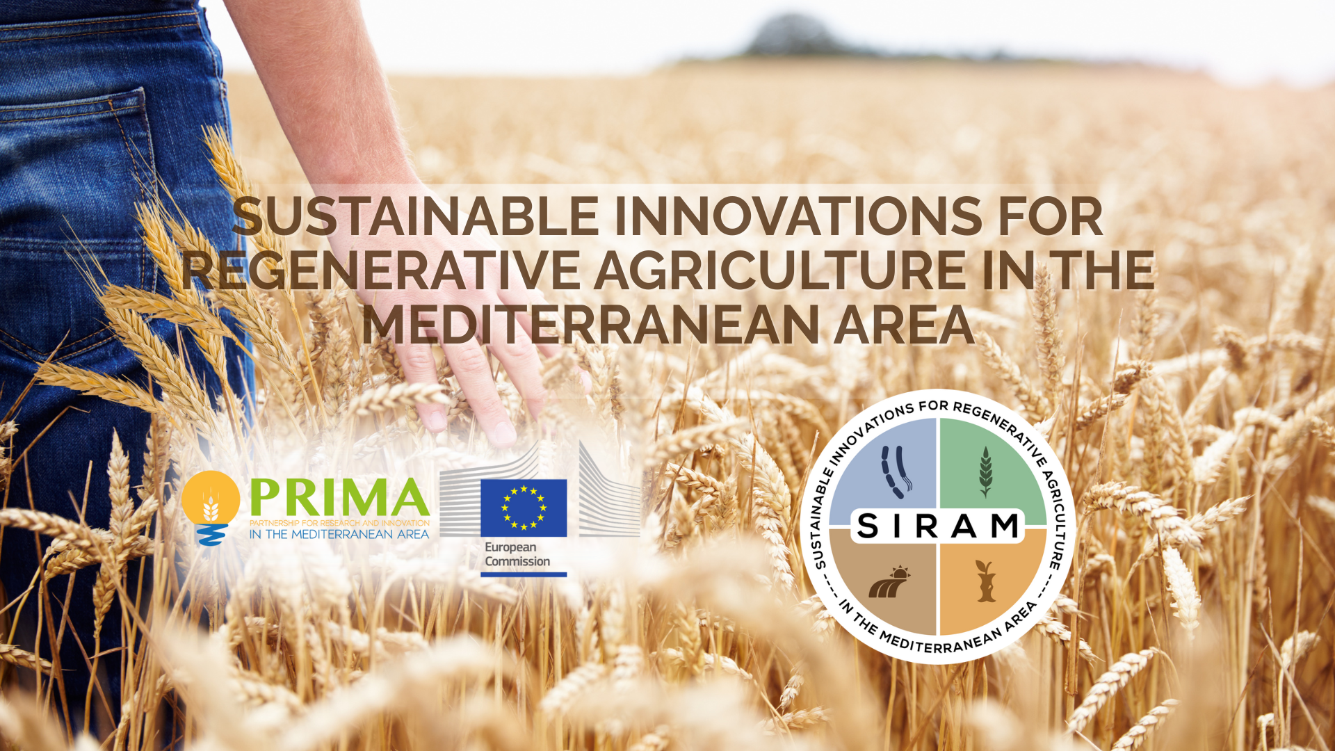 SIRAM – Sustainable Innovations for Regenerative Agriculture in the Mediterranean Area.